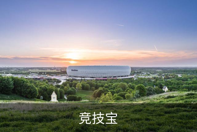 竞技宝公司简介配图